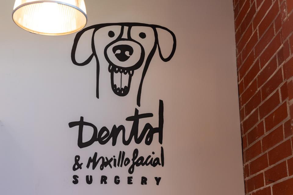 Dentistry